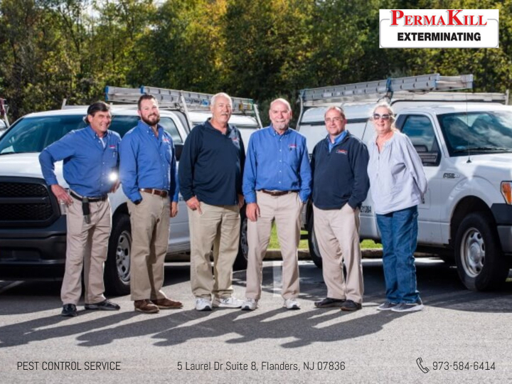 professional pest control workers for permakill exterminating