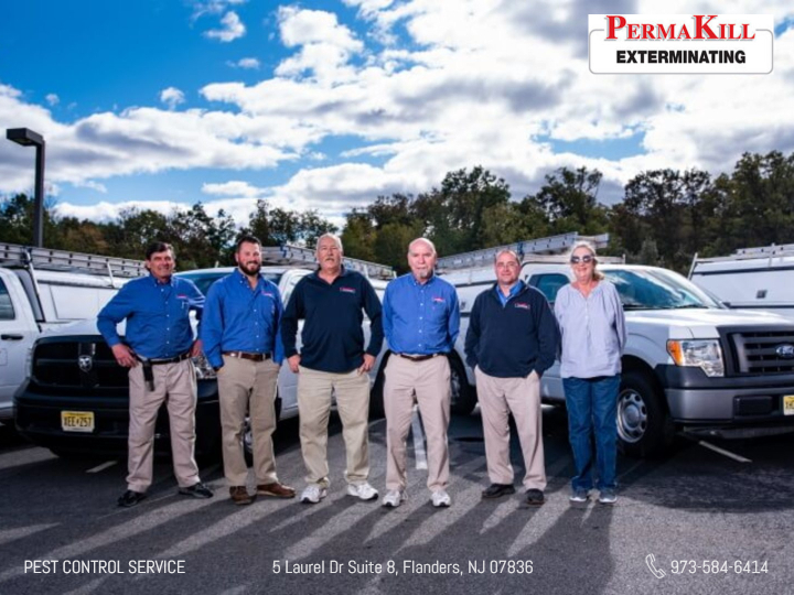 Professional pest control team from flanders NJ owned by Frank Ilnick